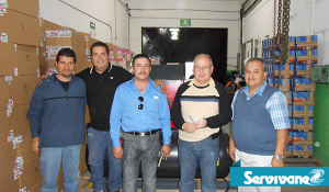 foto-6-servivane
